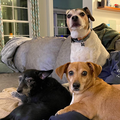 Fur Babies